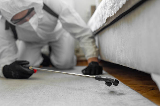 Professional Bed Bug Control technician working in Elma Center, NY