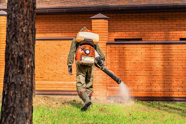 Trusted Cockroach Control service in Elma Center, NY - Nex Pest Control